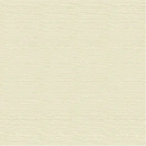วอลเปเปอร์สีพื้น เขียวอ่อน No.10317-6