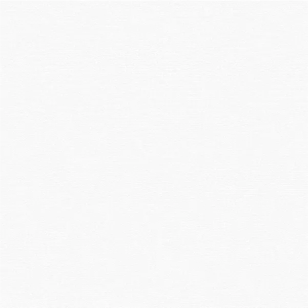 วอลเปเปอร์ สีพื้นขาว No.25069-1