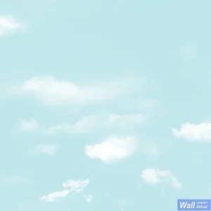 วอลเปเปอร์ลายท้องฟ้า สีฟ้าอ่อนๆ No.58126