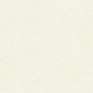 วอลเปเปอร์ สีขาวอมเทา No.2348-3