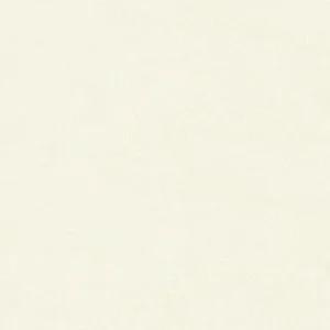 วอลเปเปอร์ลายปูนเปลือย สีขาว No.2349-1