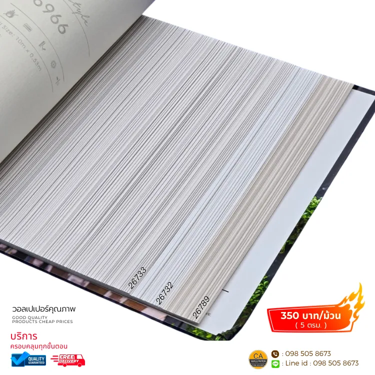 วอลเปเปอร์ลายเส้น